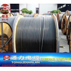 陕西电缆厂的黑皮架空线与略阳县电子设备及零配件的协同发展