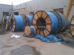 深入解析FS-YJV防水电缆与JHS电缆的区别